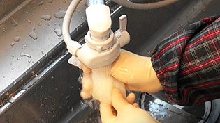 タルタルソースの作り方:みじん切りにした玉ねぎを布巾に包み、流水でもみ洗いして絞り、辛みを抜く
