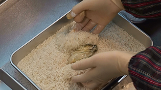 牡蠣にパン粉をつけ、軽く握って形を俵型に整える