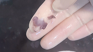 小豆を親指と小指の間にはさんで潰し、煮え具合を確認する