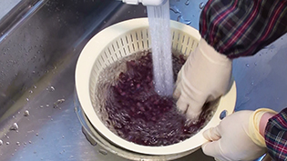 ザルに上げ、流水で小豆の表面の渋を洗う