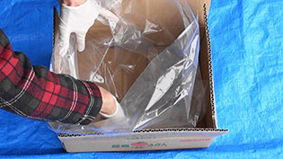 合わせ柿の作り方:段ボール箱の内側にビニール袋をセットする