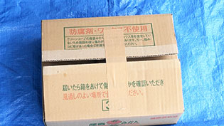箱のふたを少し開けて閉じ、ガムテープで軽く止める