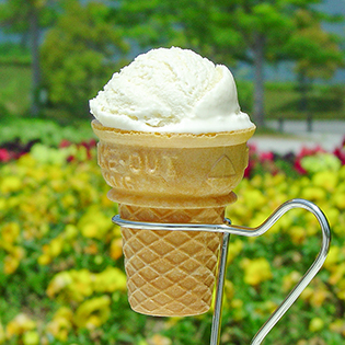 豆乳アイスクリームの作り方