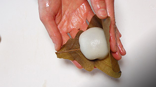 餅が冷めてから、洗って水気を切った柏の葉で包んでいる