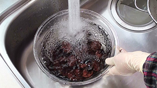 栗を水で洗う