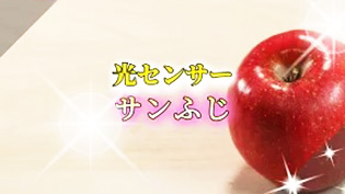 光センサー選果サンふじ