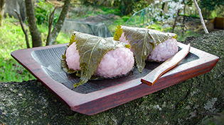 道明寺粉で作る関西風桜餅