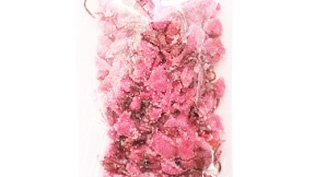 桜の花塩漬け