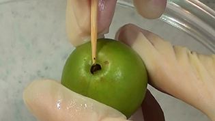なり口のホシを取り除く