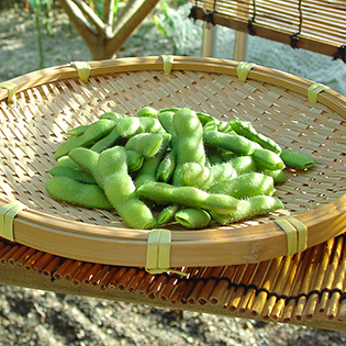 枝豆のゆで方