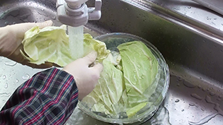 美味しい水炊き鍋の作り方:キャベツの葉を洗う