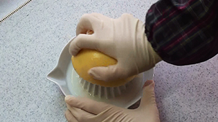 水炊きのぽん酢醤油の作り方:グレープフルーツとかぼすを絞る