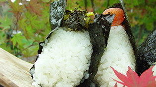 焼き海苔を食べる直前に巻いて刻み高菜入りおむすびの出来上がり