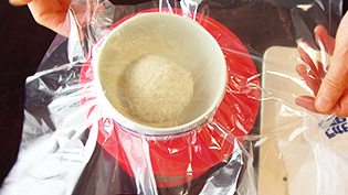 パン種も、同じように丸めてビニール袋をかぶせ、休せませている