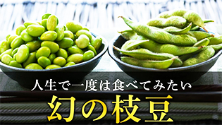 だだちゃ豆