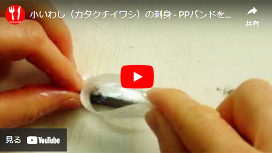 動画:PPバンドを使って小いわしを三枚におろしているところ