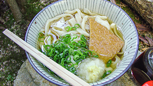 讃岐:かけうどん