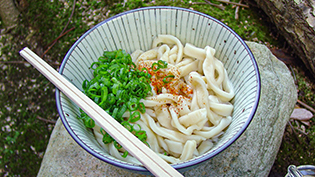 讃岐:醤油うどん