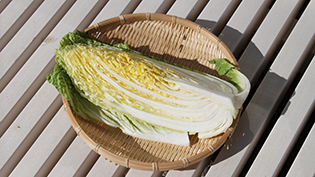 白菜の塩麹漬けレシピ:白菜を半日天日干しする