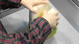 本格白菜キムチの作り方:白菜の根元に包丁で切れ目を入れ、手で半分に裂く