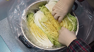 大きな容器にビニール袋を敷き、白菜を詰める