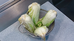 白菜をザルに乗せて水気をしっかり切る