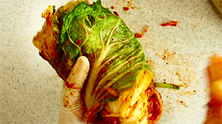 白菜を二つに折り、下の葉で覆う