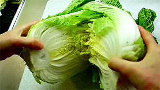 イカの塩辛を使った本格キムチの作り方:白菜に切れ目を入れて手で半分に割く