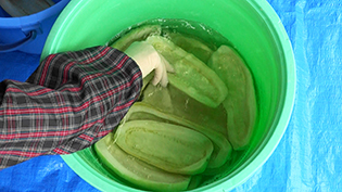 上がった塩水で瓜を振り洗いする
