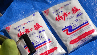 塩は粗塩を使う