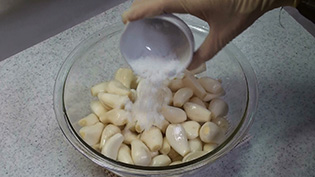 塩をまぶして一晩置き、水分を出して芽の成長を止める