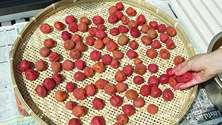 土用干しの方法:ザルに梅干しをくっつかないように並べる