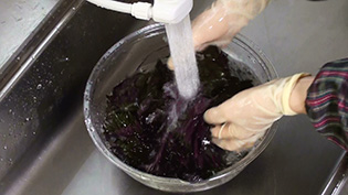 紫蘇の葉を水で洗う