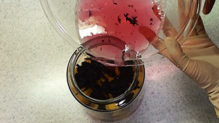 赤梅酢を注ぐ