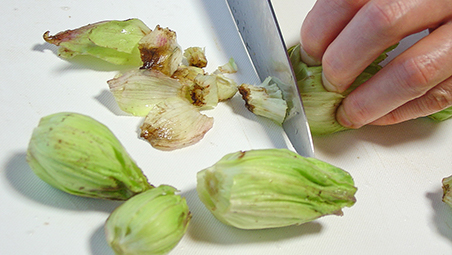 春の風物詩「ふきのとう」でお味噌を作りましょう