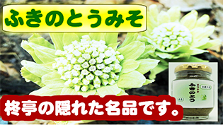 ふきのとうみそ