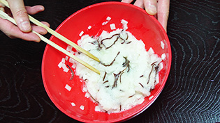 かぶときくらげ、餅、卵白、塩を混ぜている