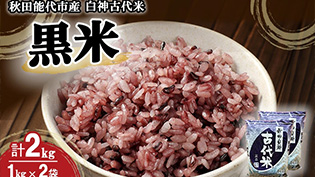 白神古代米