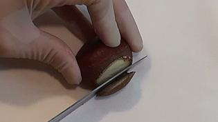 むきやすいように鬼皮の底側を切って落とす