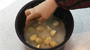 栗をお米の上にのせて炊飯する