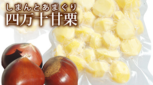 四万十冷凍生栗