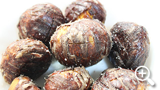 揚げた栗に塩を振って食べるとパリパリして美味しい