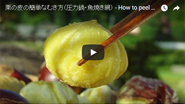 圧力鍋と魚焼き網で栗の皮をむく方法(動画レシピ)