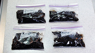 黒豆はフリーザーバッグに煮汁ごと小分けして冷凍保存する