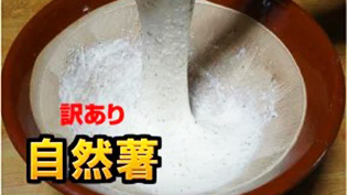 訳あり自然薯