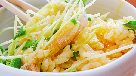 卵かけご飯にカイワレやみょうがなどの薬味をトッピングした