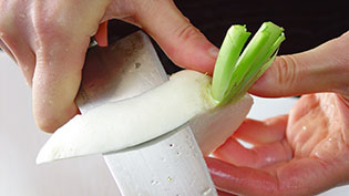 カブの頭頂部から付け根にむけて皮をむいているところ